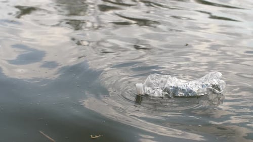 Plastic Bottle Floating in the River
