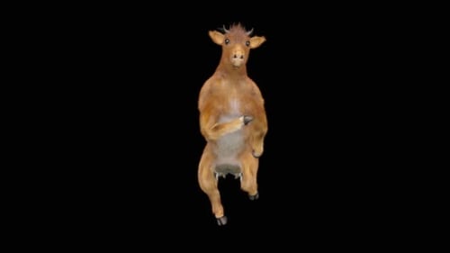 Funny Animated Goat Dancing on Black Background
