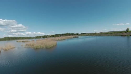 Fast and Maneuverable Flight Over the Lake with Reeds