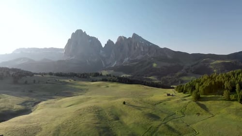 Drone Flying Backwards With a View of a Lonely Tree at Alpe di Suisi in Dolomites Mountains Italy