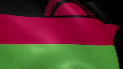 Realistic Waving Malawi Flag with Fabric Texture