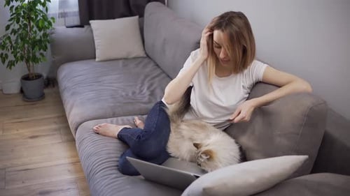 Woman Works on Laptop with Cat on Her Lap