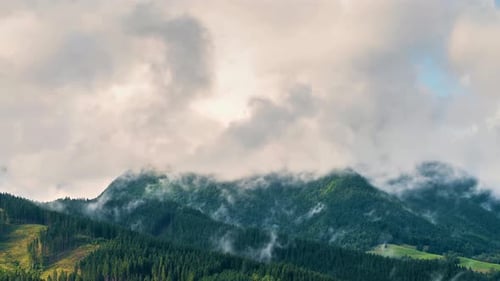 Mystische Wolken im frischen Frühling Wald Berg nach Regen Naturlandschaft