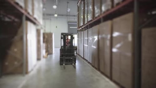 Worker operating forklift truck