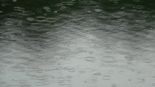 Regentropfen auf der Wasseroberfläche