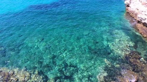 Rocky and Stony Seashore in Untouched Sea