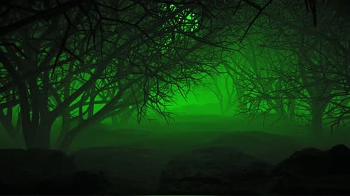Halloween In Night Forests 01 4K
