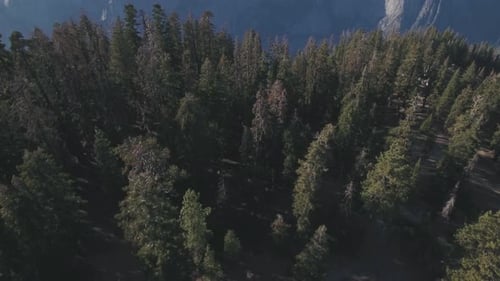Aerial view of Yosemite National Park, California, USA