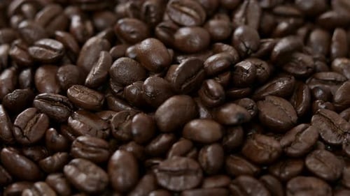 Roasted Coffee bean