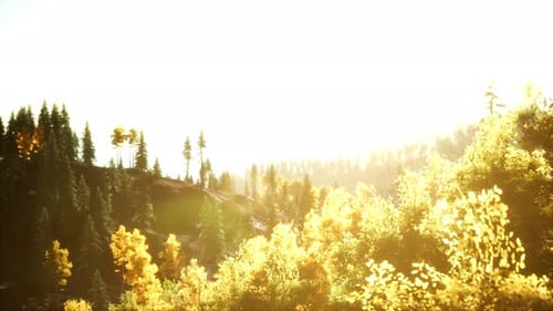 Coucher de soleil radieux dans les montagnes avec la forêt