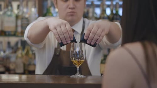 The Unrecognizable Brunette Woman Sitting at the Bar Counter