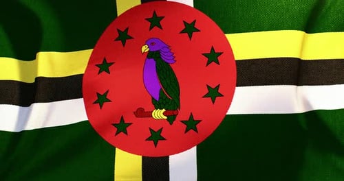 Realistic Waving Flag of Dominica Loop Animation