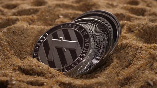 Différents types de cryptomonnaies