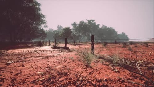 Fragment of an Old Fence with Rusty Barbed Wire