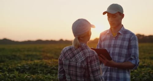 Farmers are Discussing in the Field Using a Tablet