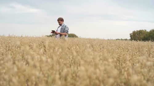 Farmer Using Tablet in Rural Wheat Field