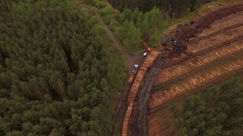 Forestry and logging operations taking place in the highlands of Scotland using large industrial mac