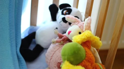 Pequenos brinquedos de pelúcia de um parente