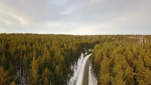 Empty Road In The Winter Forest