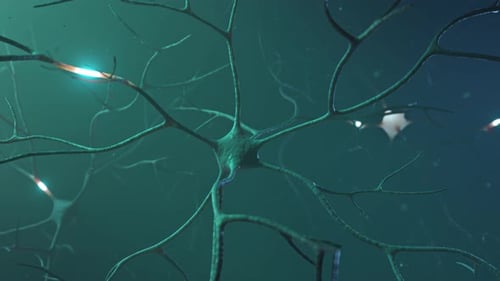 Neural Network Animation with Synaptic Electrical Impulses