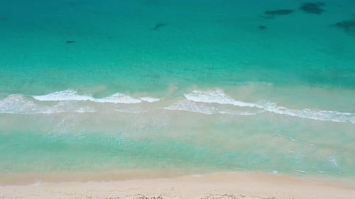 Aerial View with Tropical Seashore of Caribbean Sea with Waves
