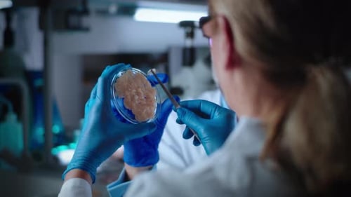 Scientists examining specimen in petri dish in laboratory