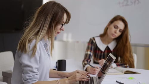 Concentrated Young Business People with Laptops in the Office Usual Work Day