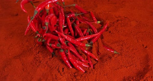 Fresh Red Chili Peppers, capsicum annuum falling on Powder of Red Chili Peppers, Slow Motion 4K