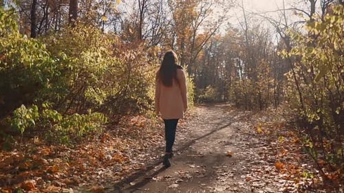 Girl Walking in a Forest Alone