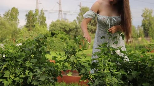 Woman Touching Tree Branches in Garden