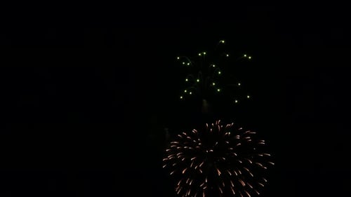 Vibrant Fireworks Explode in the Night Sky