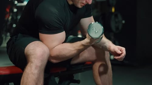 Muscular Man Does Seated Bicep Curls in Gym