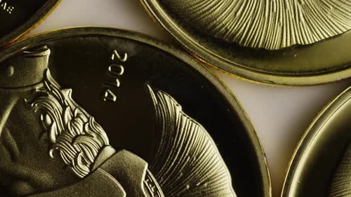Plan rotatif de Titan Bitcoins (cryptomonnaie numérique) - BITCOIN TITAN
