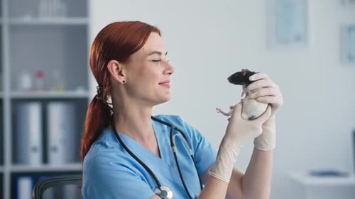 Friendly Veterinarian Holding Cute Pet Rat