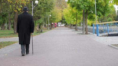 A senior man threw a stick in the park and walked