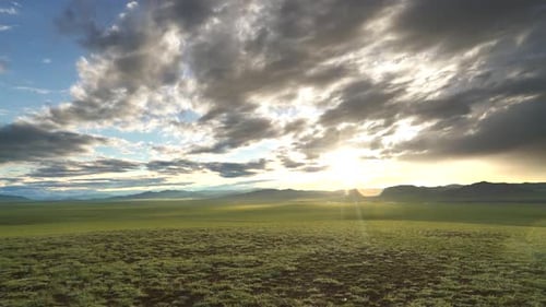 Golden Hour over Rolling Green Grassland Landscape