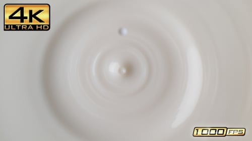 Milk Drop Falls into Liquid Causing Ripple Effect