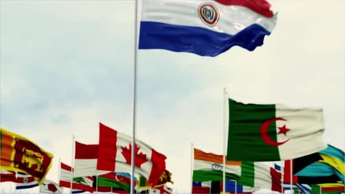 Dynamic National Flags Waving Against Sky with Focus Reveal