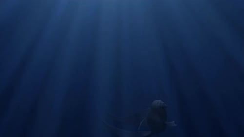 Nahaufnahme eines abstrakten, einsamen schönen Fisches, der unter Wasser
