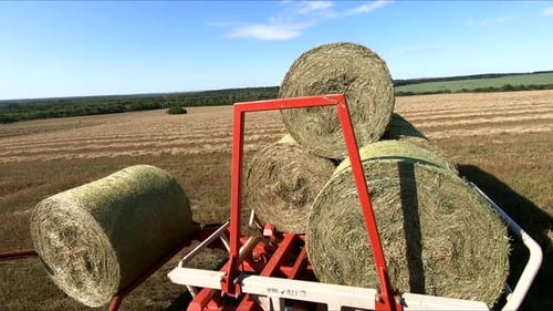 Heuhaufen von den Feldern sammeln, Nahaufnahme. Heu ernten mit moderner Landtechnik