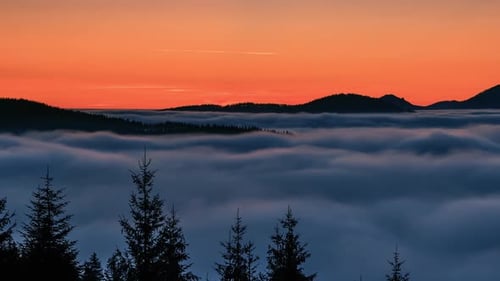 Foggy Clouds Forest Nature