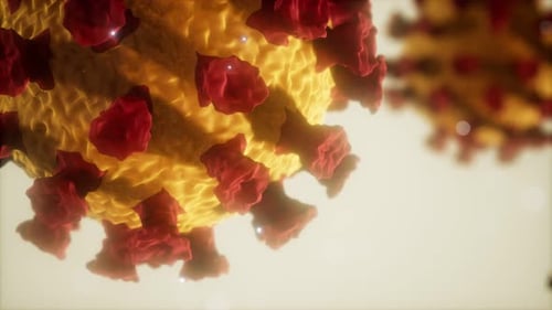 Coronavirus COVID19 Medical Model