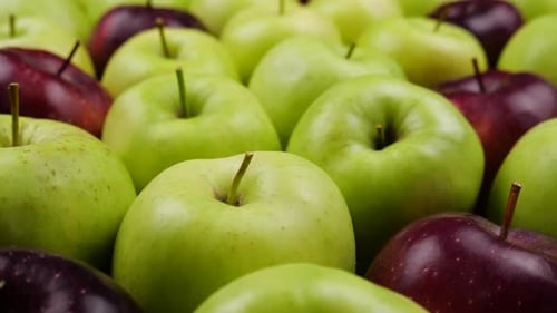 Fresh Green and Red Apples Close Up