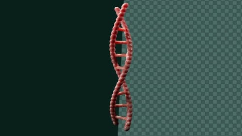 Rotating 3D DNA Double Helix Science Medical Background
