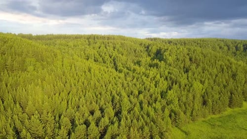 Nature Hill