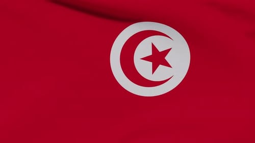 Flag Tunisia Patriotism National Freedom Seamless Loop