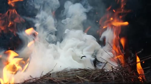Close Up Bonfire Flames of Camping Fire, Slow Motion of Burning Wood and Smoke in the Grill. Cooking
