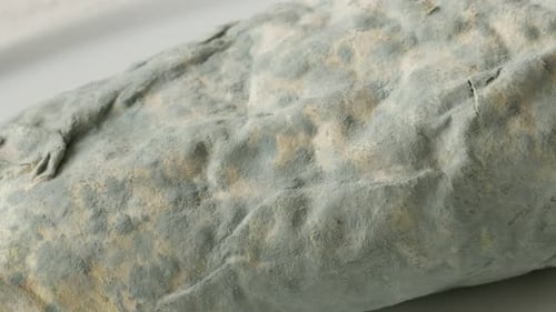 Phyllo dough under hyphae fungus 4K 2160p 30fps UltraHD panning footage - Blue color mold spreads o
