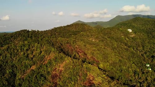 Fantastic Drone View of Green Jungle on Mountain Ridge