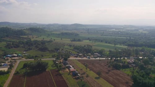 Aerial top view of fresh grass, rice and crops field with green mountain hill in agriculture